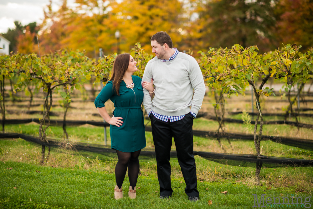 Youngstown engagement photos