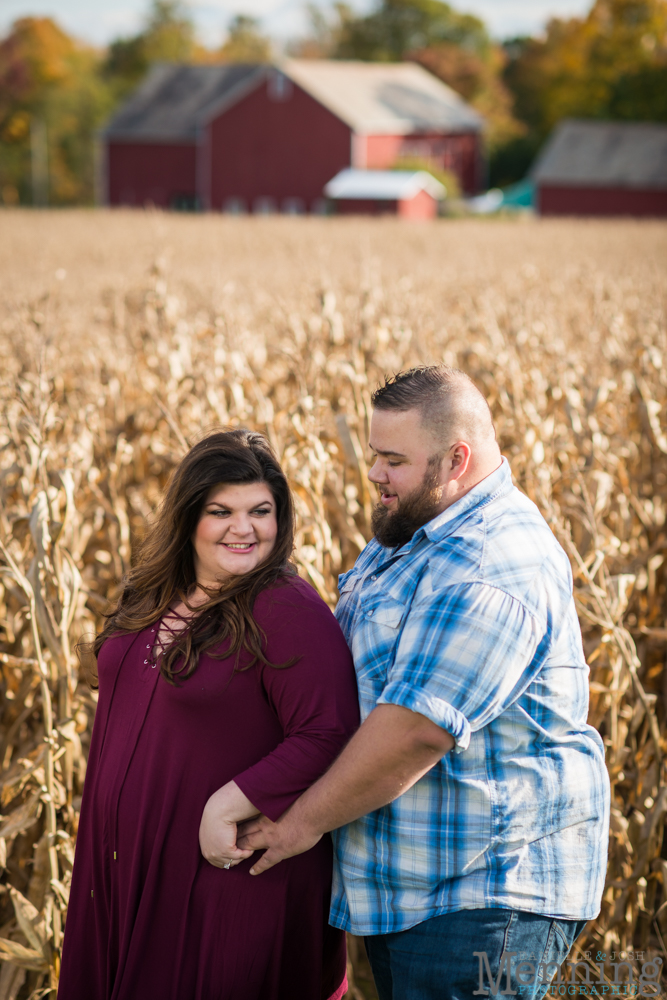 columbiana engagement photos