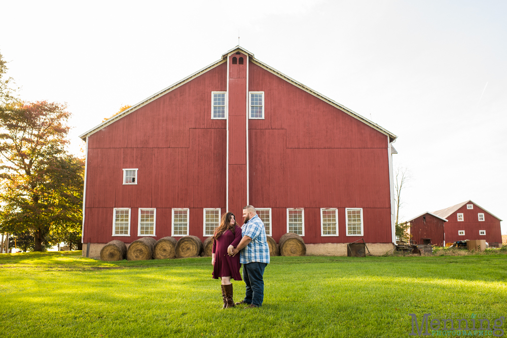 columbiana engagement photos