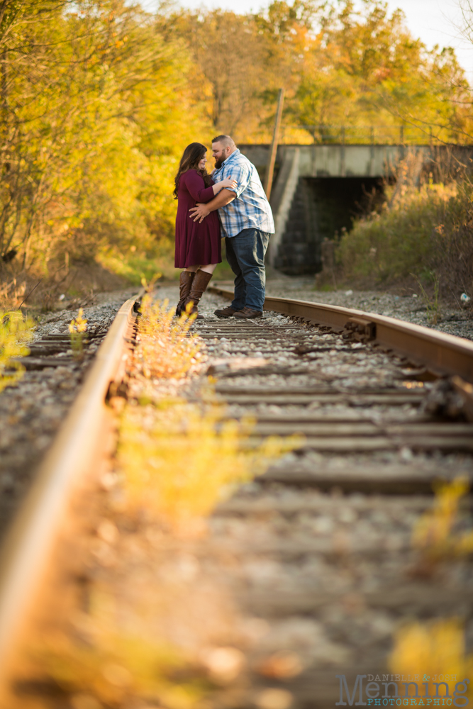 columbiana engagement photos