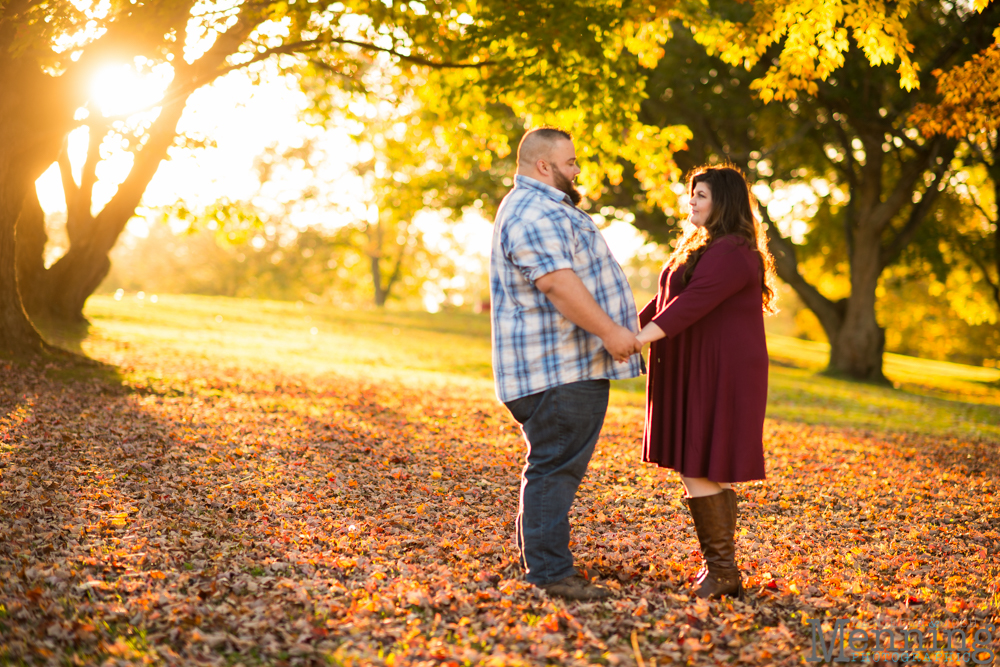 columbiana engagement photos