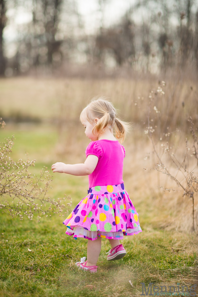 Youngstown family photographer