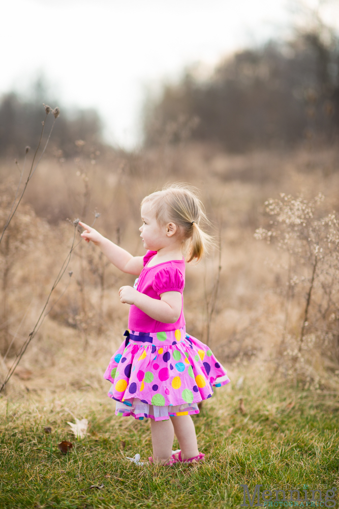 Youngstown family photographer