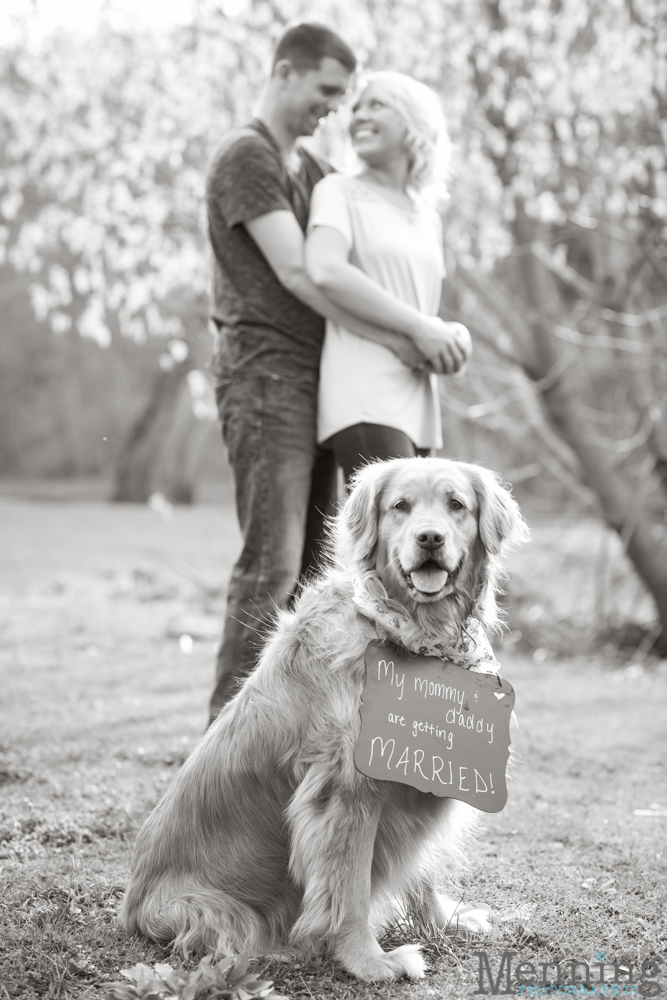 Boardman engagement photos