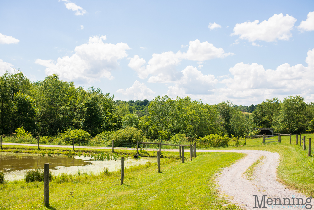 backyard wedding Columbiana Ohio