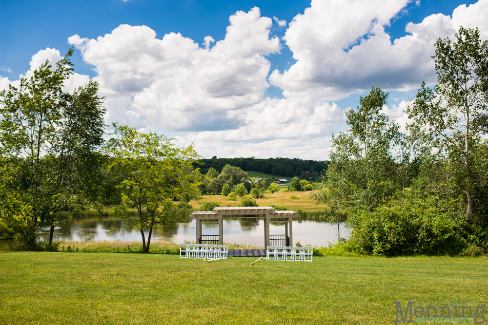 backyard wedding Columbiana Ohio