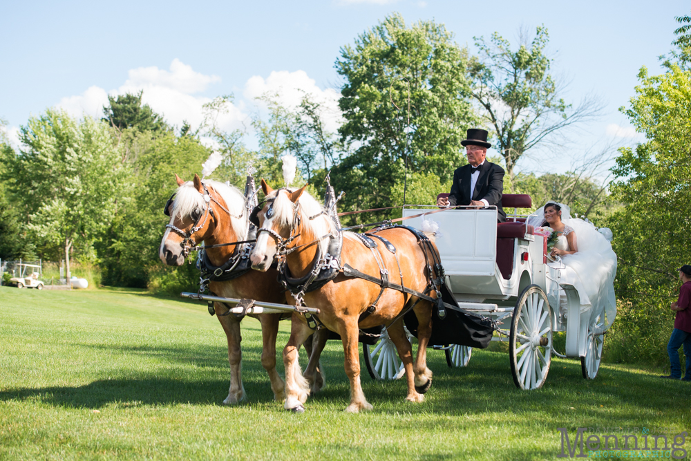 backyard wedding Columbiana Ohio