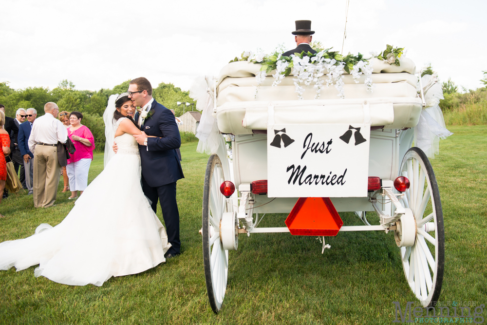 backyard wedding Columbiana Ohio