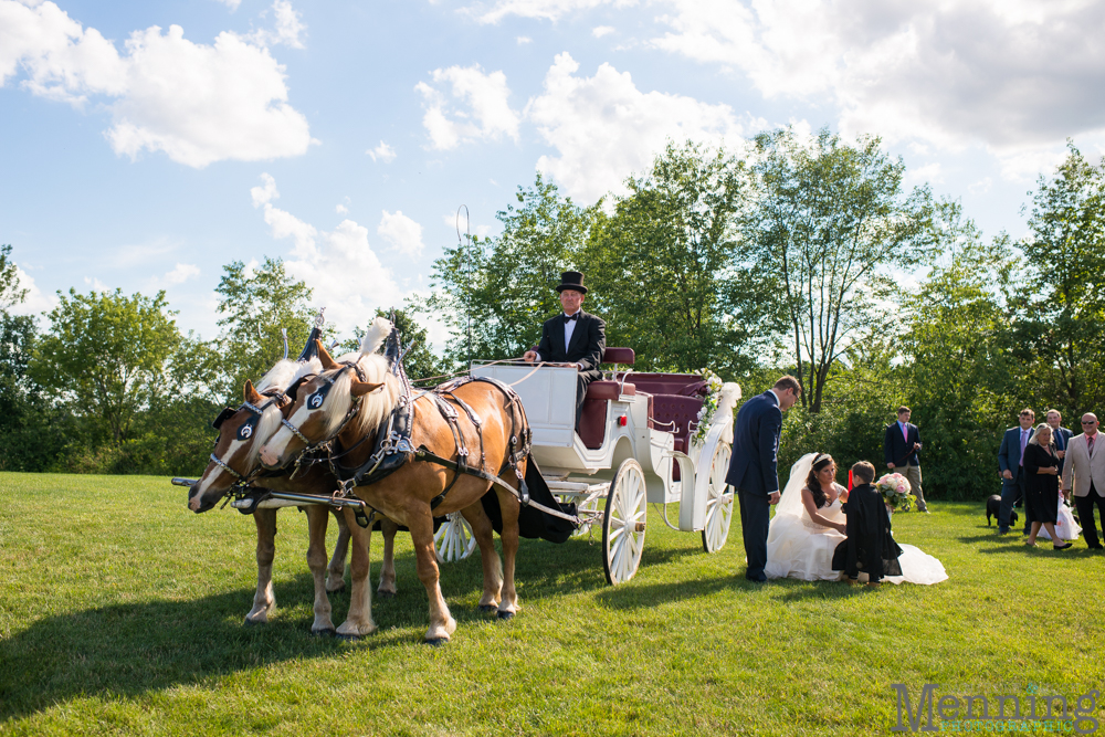 backyard wedding Columbiana Ohio