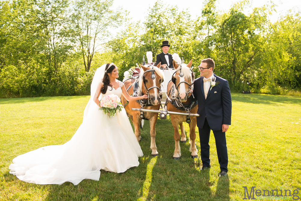 backyard wedding Columbiana Ohio