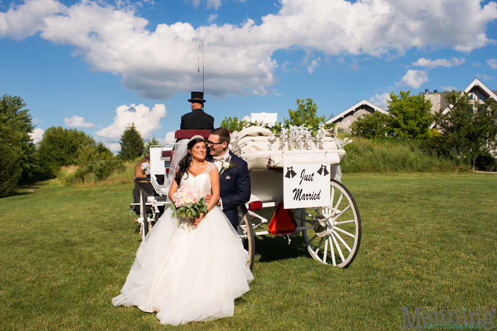 backyard wedding Columbiana Ohio