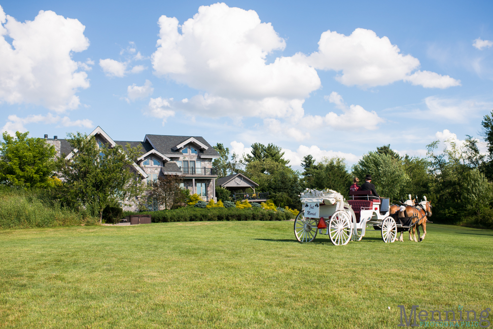 backyard wedding Columbiana Ohio