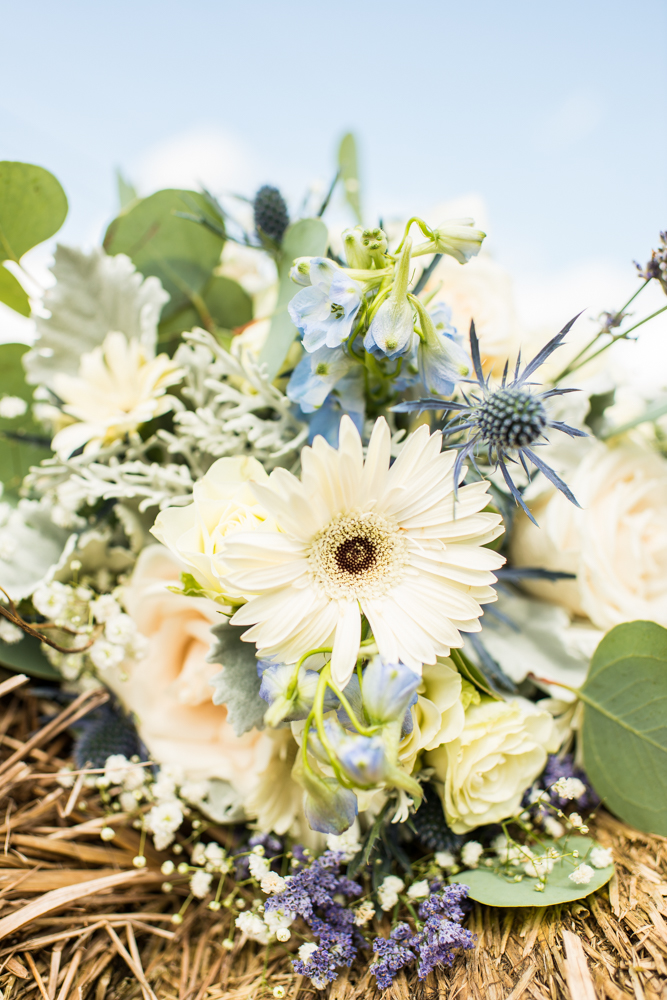 Century Farms wedding Ohio