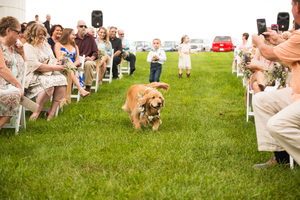 Century Farms wedding Ohio