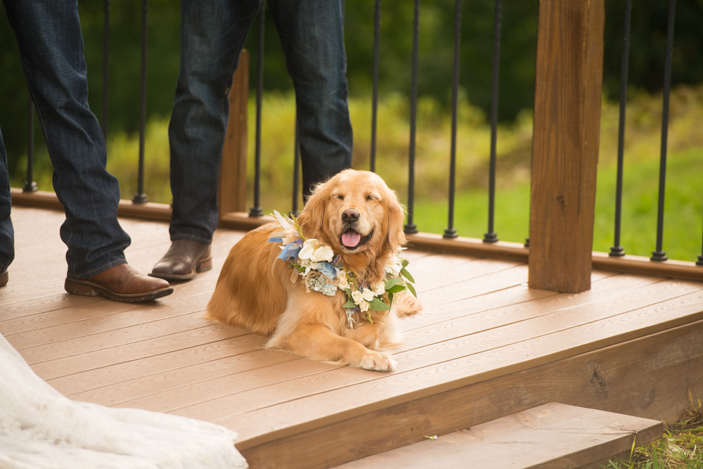 Century Farms wedding Ohio