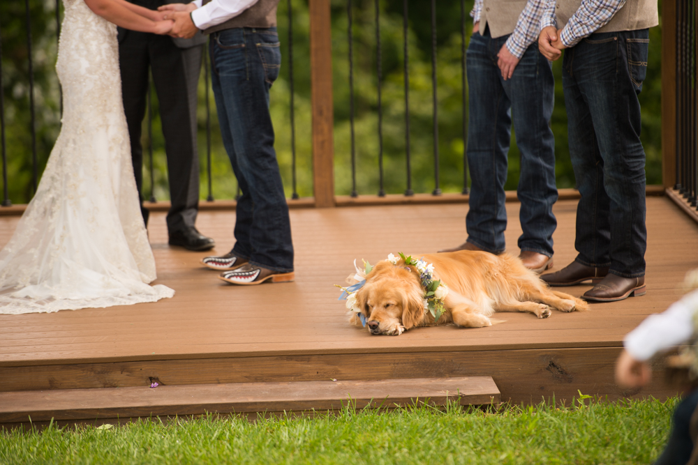 Century Farms wedding Ohio