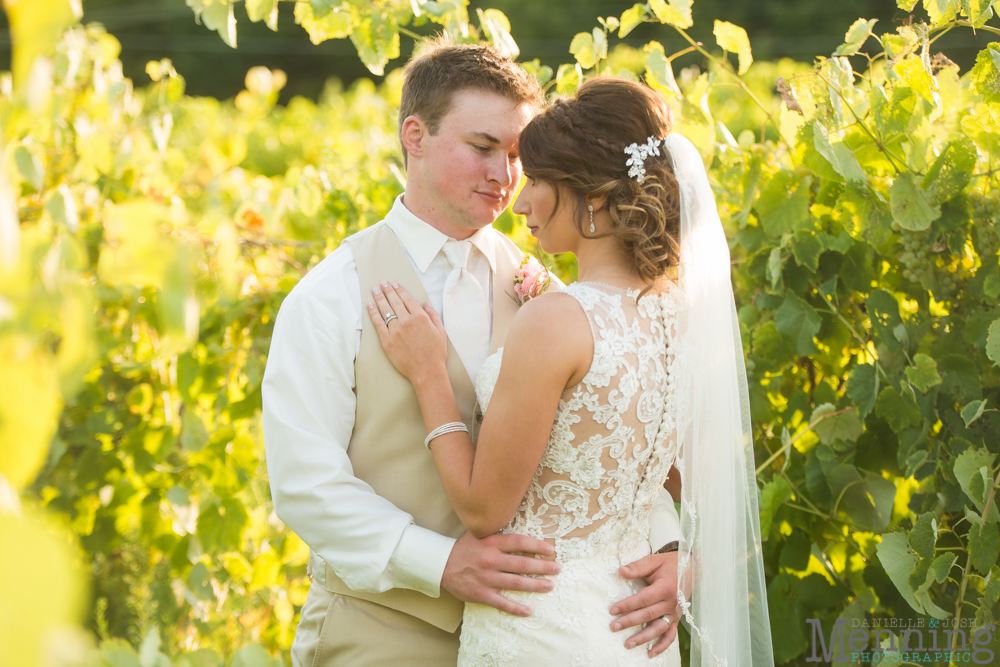 vineyards at pine lake wedding