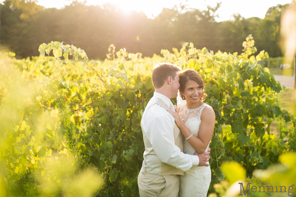 vineyards at pine lake wedding