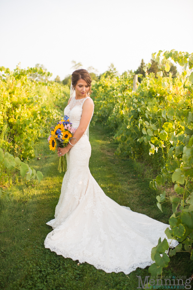 vineyards at pine lake wedding