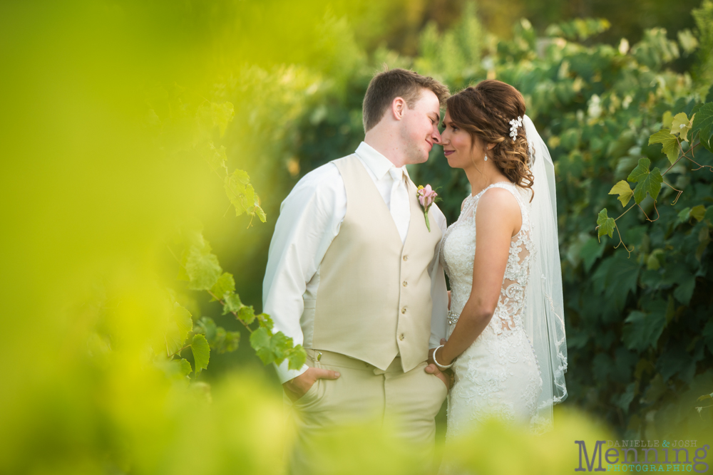 vineyards at pine lake wedding