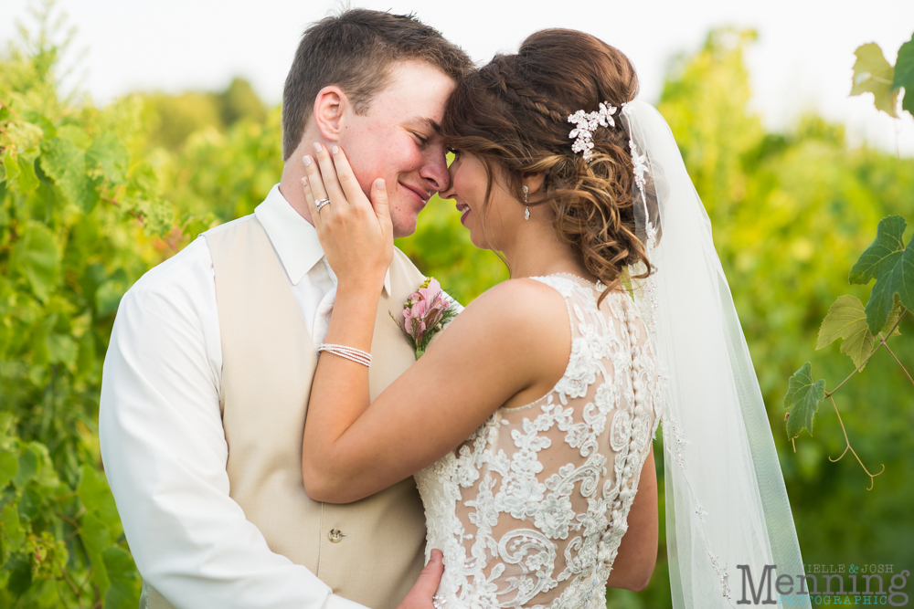 vineyards at pine lake wedding