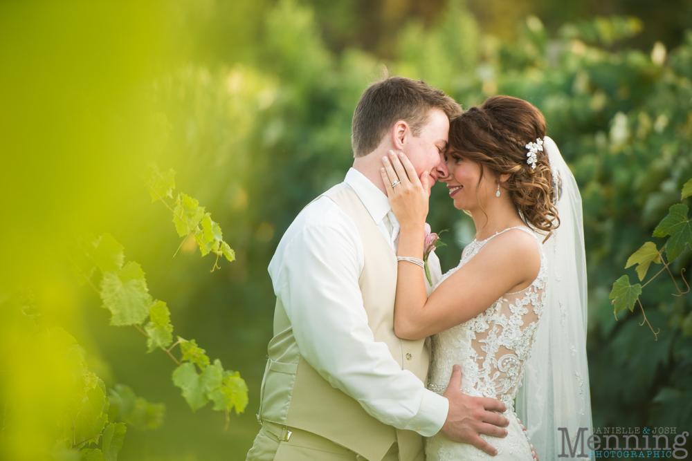 vineyards at pine lake wedding