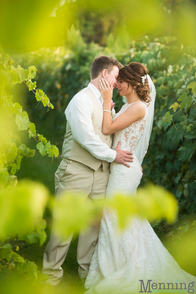 vineyards at pine lake wedding