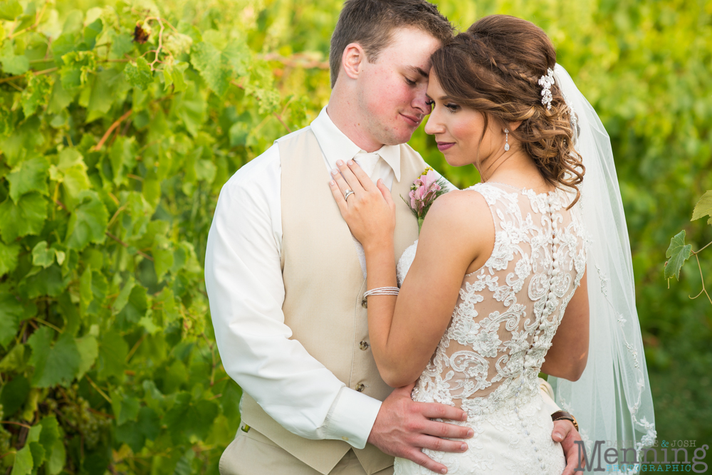 vineyards at pine lake wedding