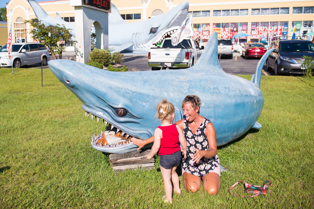 topsail island vacation