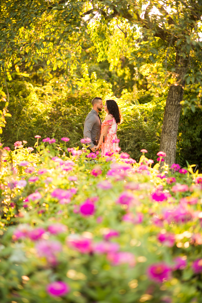 Corinne & Jason Engagement Session - Fellows Riverside Gardens - Lake Newport - Mill Creek Park - Youngstown, Ohio Photographers_0023