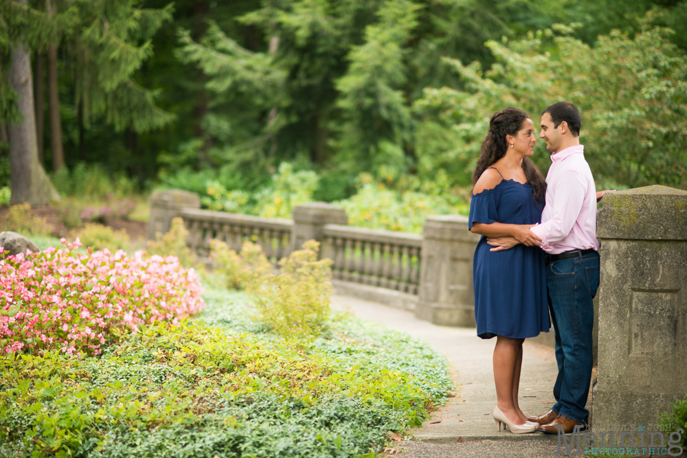 vineyard engagement wedding photos ohio