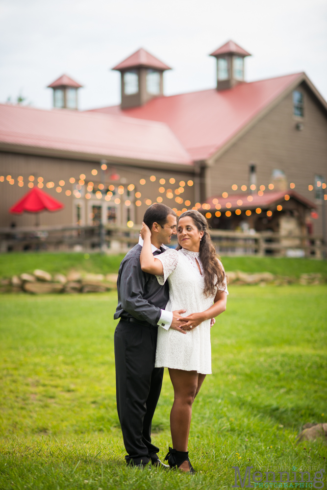 vineyard engagement wedding photos ohio