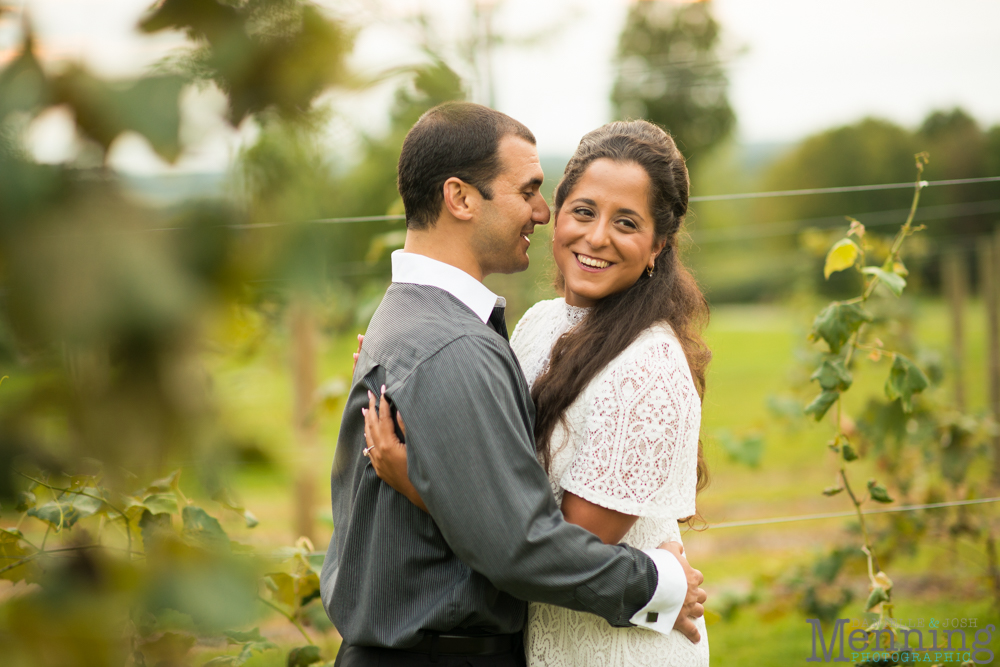 vineyard engagement wedding photos ohio