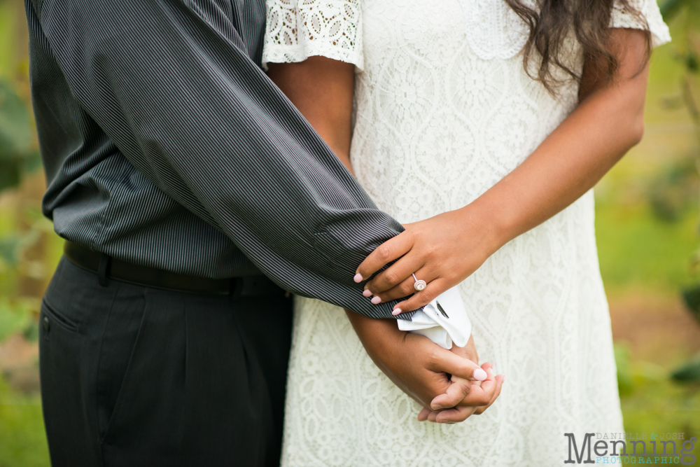 vineyard engagement wedding photos ohio