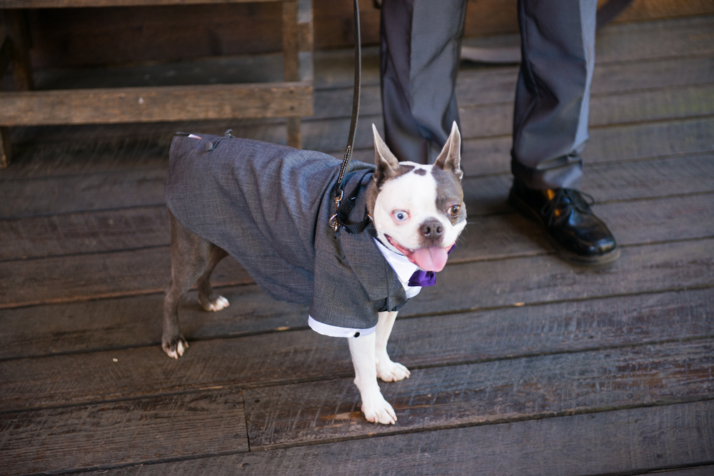 salem barn and gazebo wedding