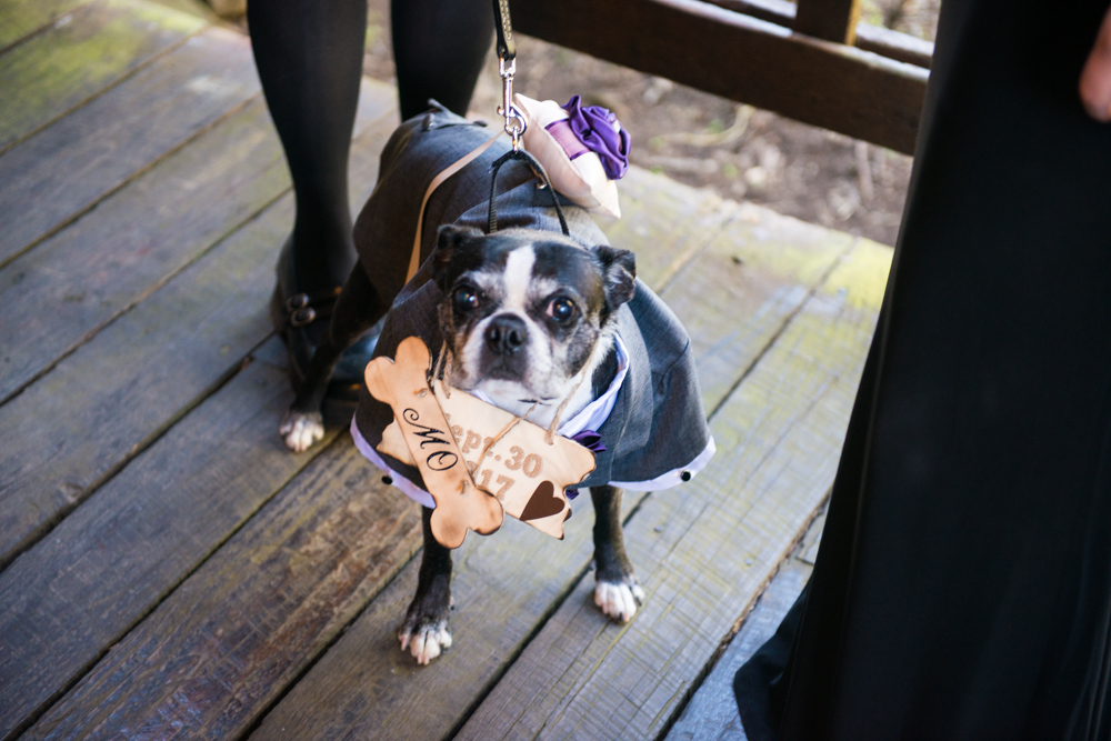 salem barn and gazebo wedding