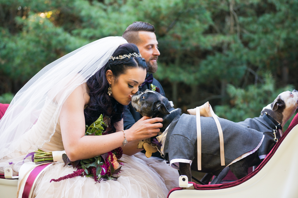 salem barn and gazebo wedding