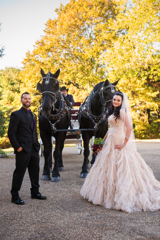 horse and carriage wedding