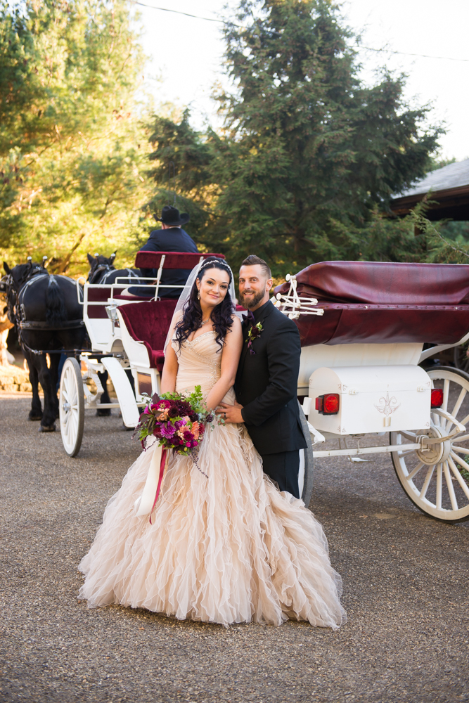 horse and carriage wedding