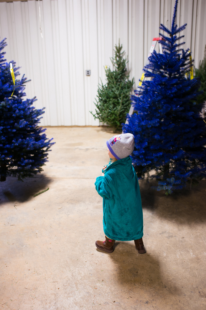 real Christmas tree family tradition