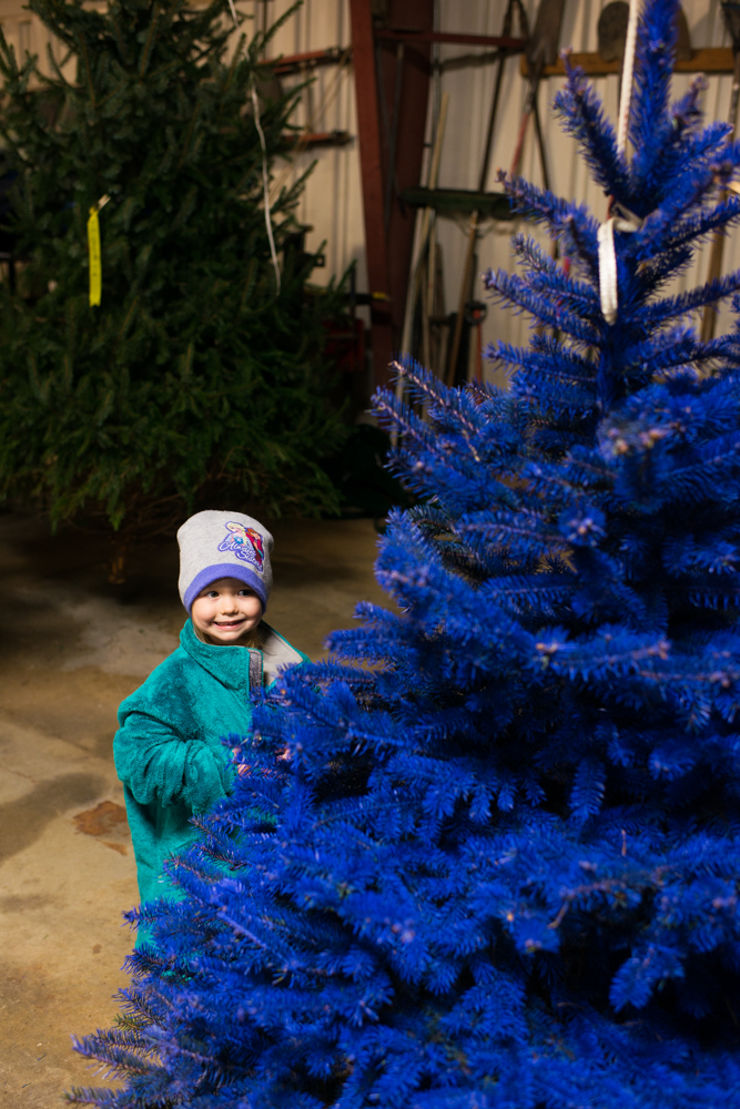 real Christmas tree family tradition