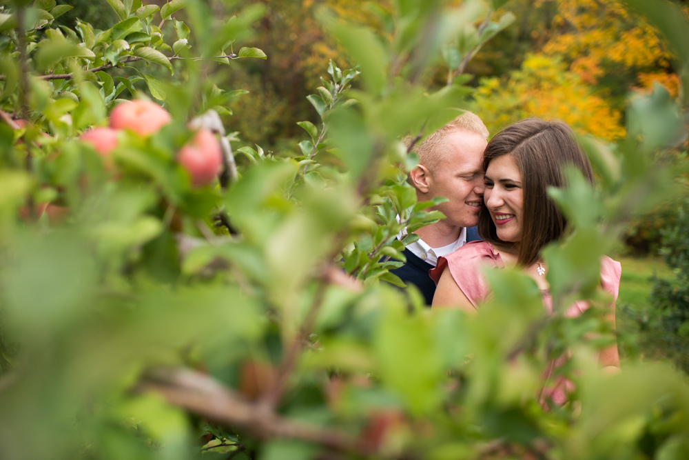 fall apple orchard engagement photos